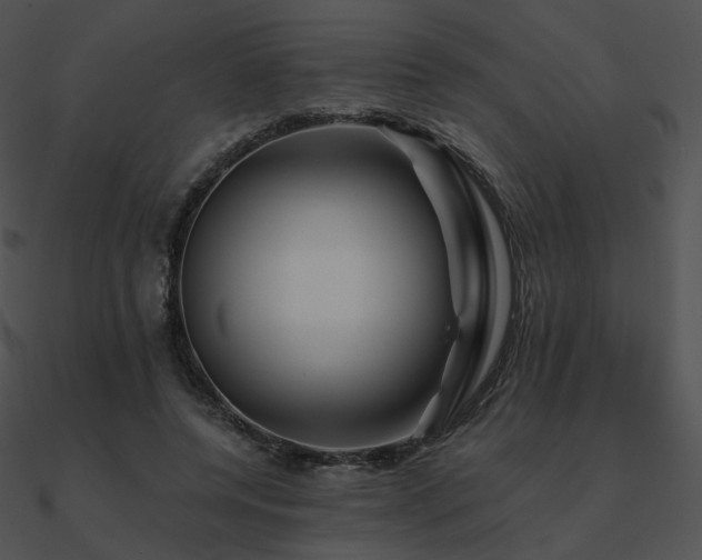 X0000090970544200708021439