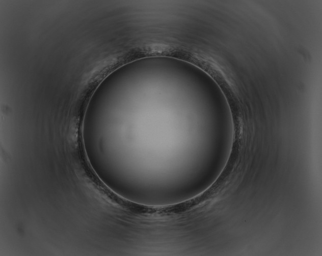 X0000090970545200708021439