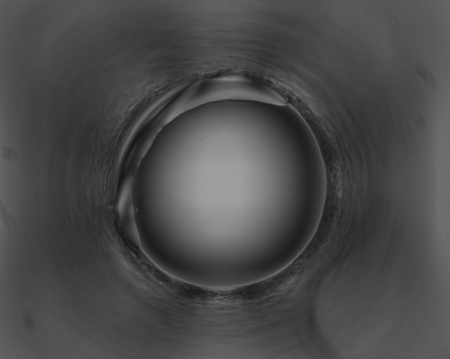 X0000090970546200708021439