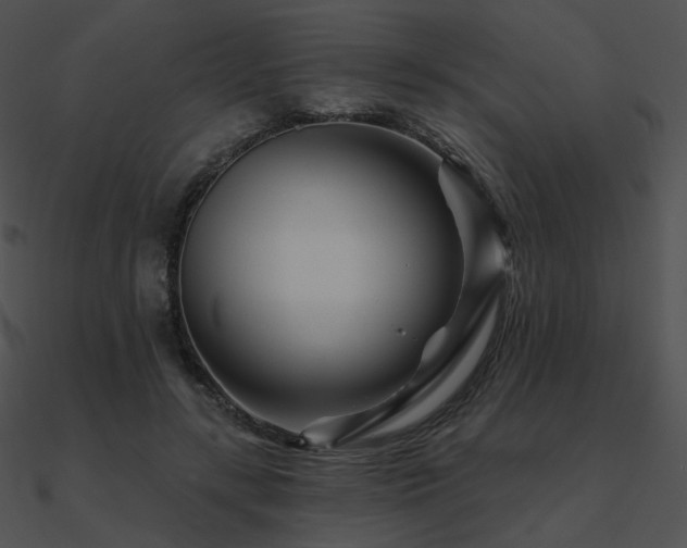 X0000090970547200708021439