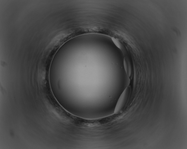 X0000090970548200708021439