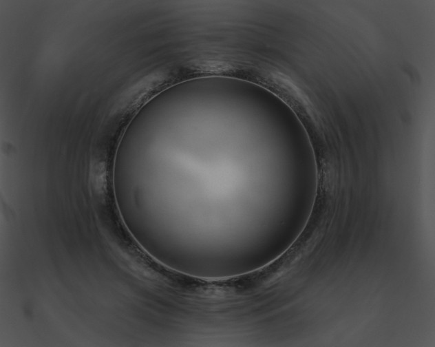 X0000090970549200708021439