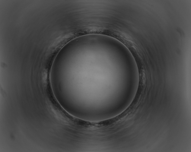 X0000090970550200708021439