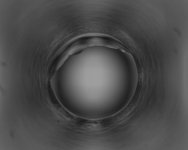 X0000090970552200708021439