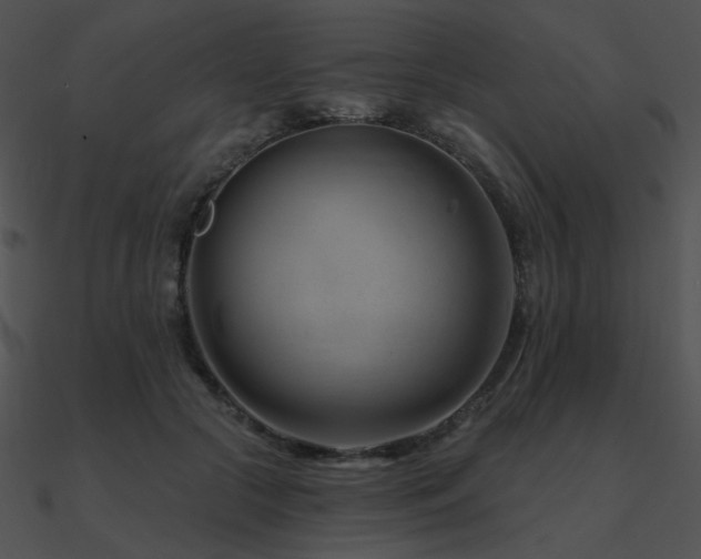 X0000090970553200708021439