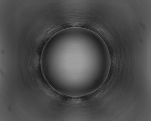 X0000090970554200708021440