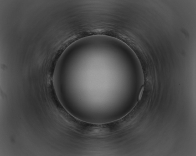 X0000090970555200708021440