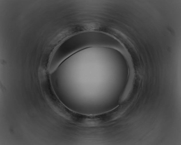 X0000090970556200708021440