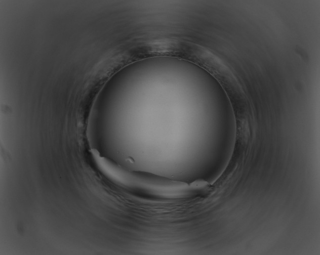 X0000090970557200708021440