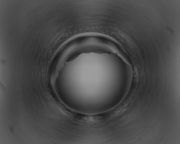 X0000090970558200708021440