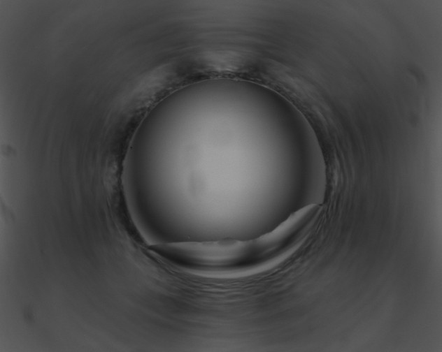 X0000090970559200708021440