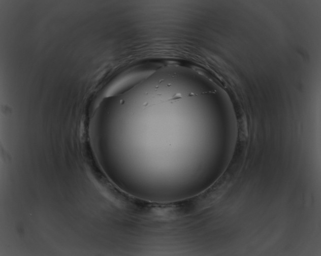 X0000090970560200708021440