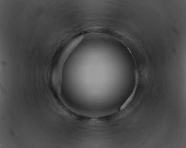 X0000090970562200708021440