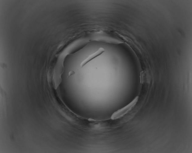 X0000090970564200708021440