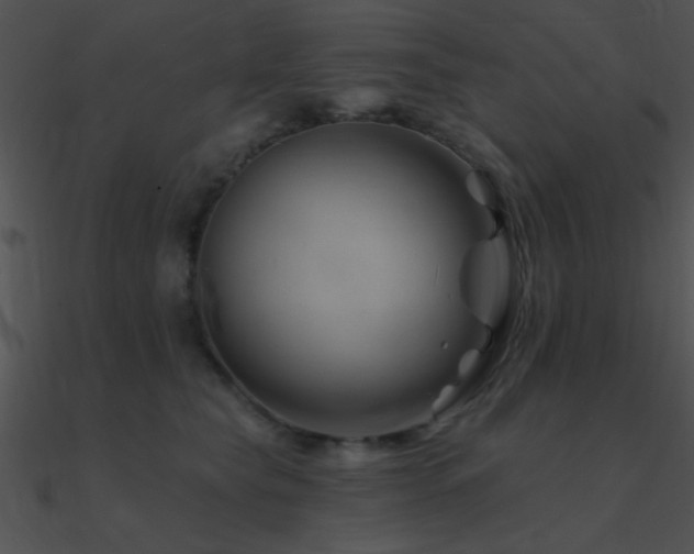 X0000090970565200708021440