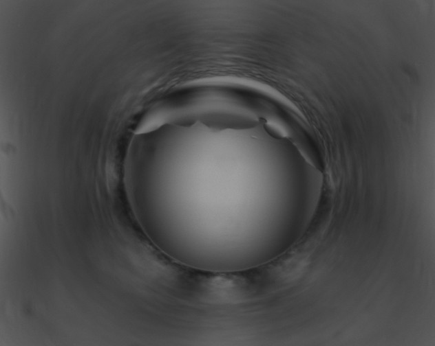 X0000090970566200708021440