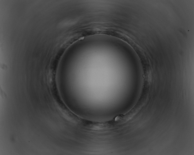 X0000090970567200708021440