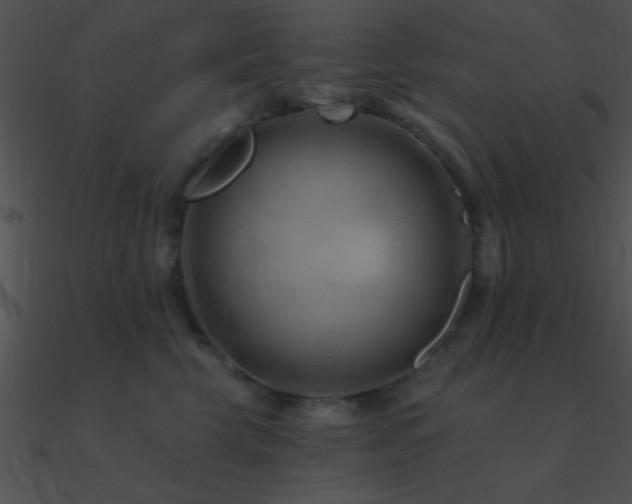 X0000090970569200708021440