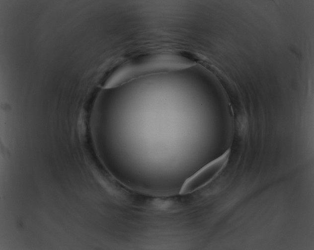 X0000090970570200708021440