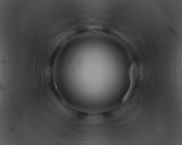 X0000090970571200708021440