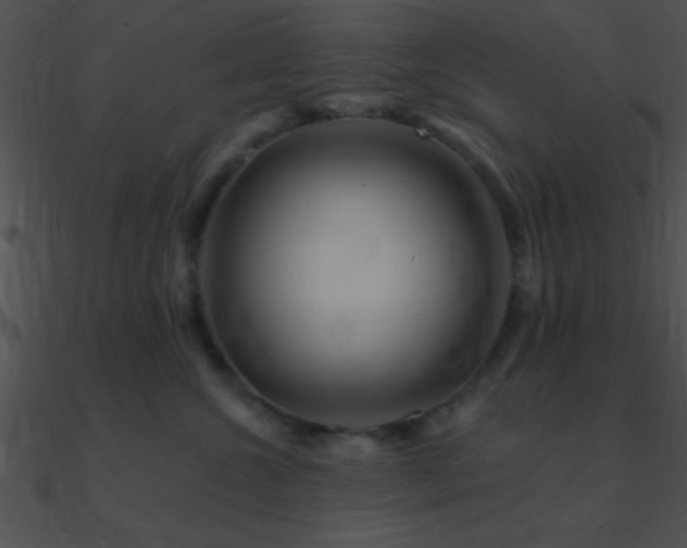 X0000090970572200708021440