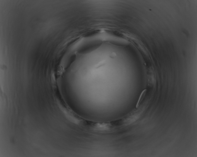 X0000090970573200708021440