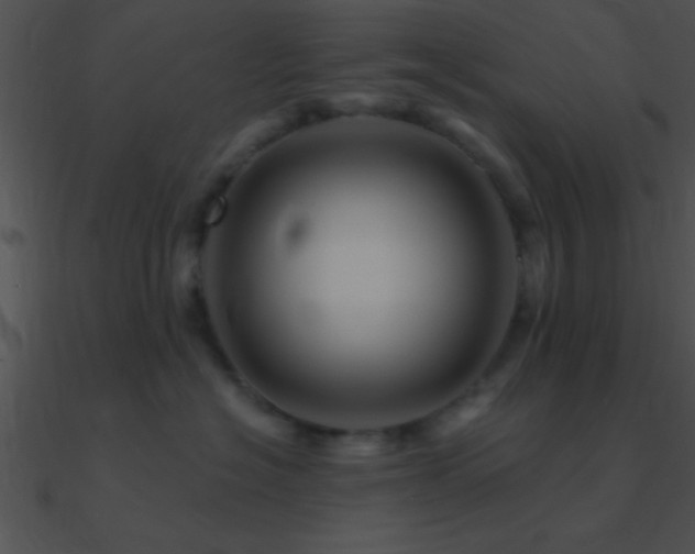 X0000090970574200708021440