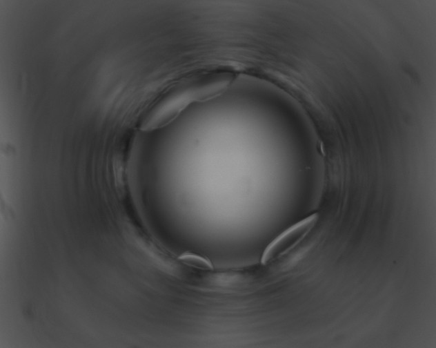 X0000090970575200708021440