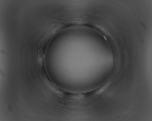 X0000090970576200708021440