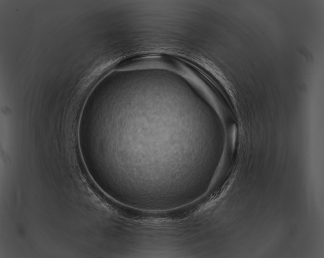 X0000090970577200708021439