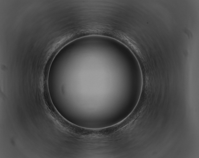 X0000090970578200708021439