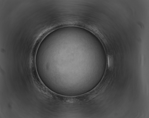 X0000090970579200708021439