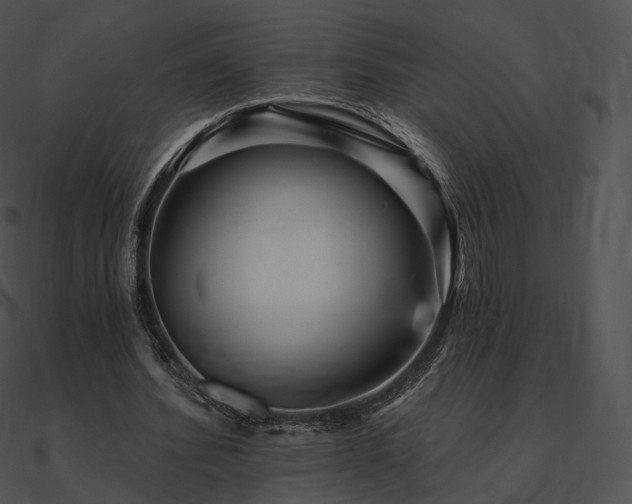 X0000090970580200708021439