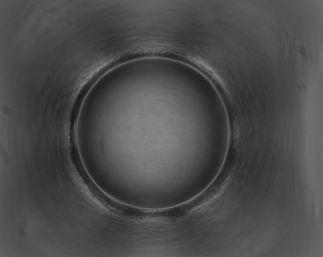 X0000090970581200708021439