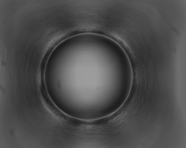 X0000090970582200708021439