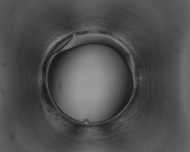 X0000090970583200708021439