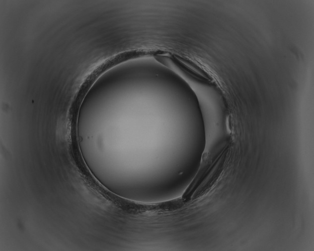 X0000090970584200708021439