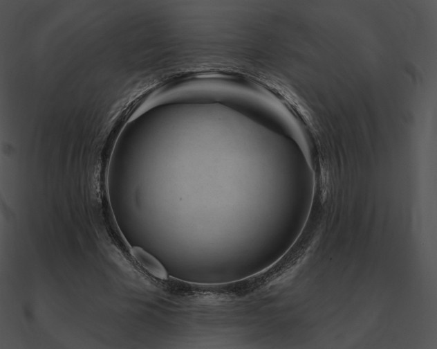 X0000090970585200708021439