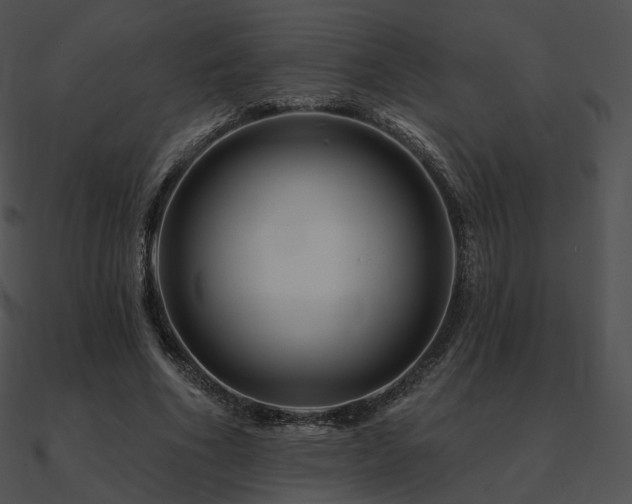 X0000090970586200708021439