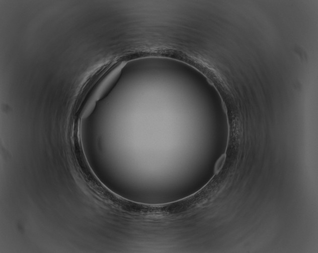 X0000090970587200708021439