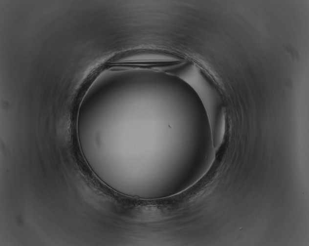 X0000090970588200708021439