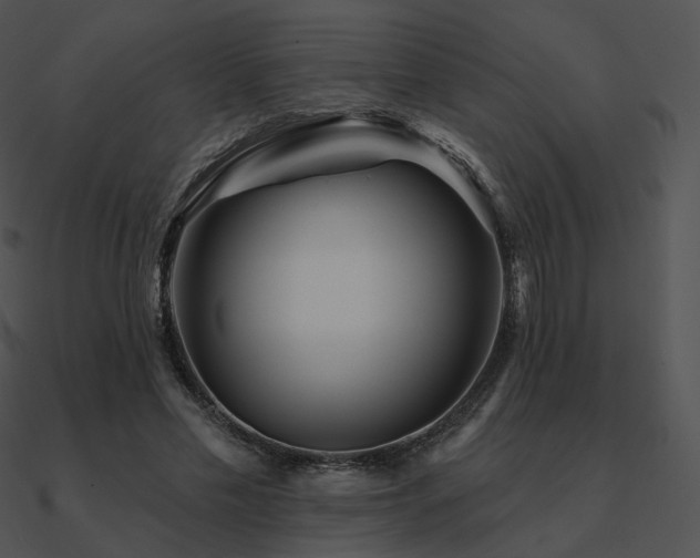 X0000090970589200708021439