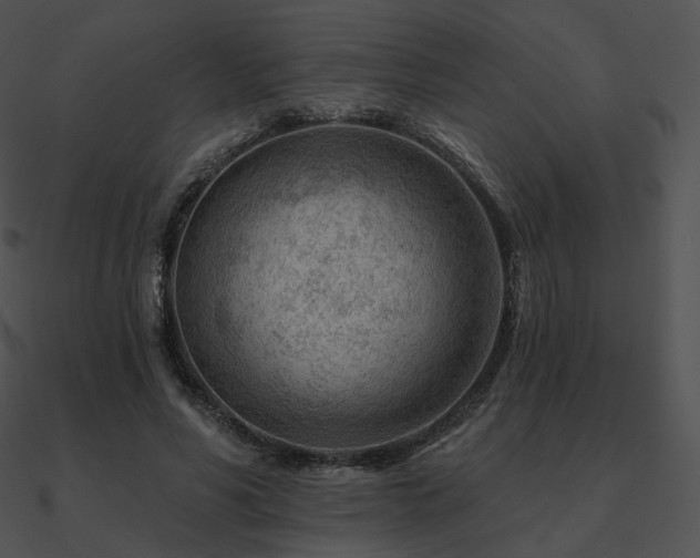 X0000090970590200708021439