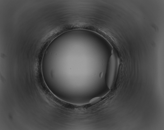 X0000090970591200708021439