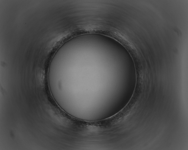 X0000090970592200708021439