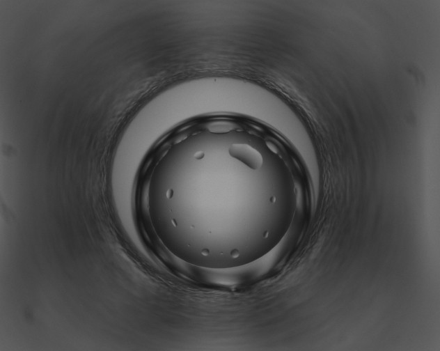 X0000090970593200708021439