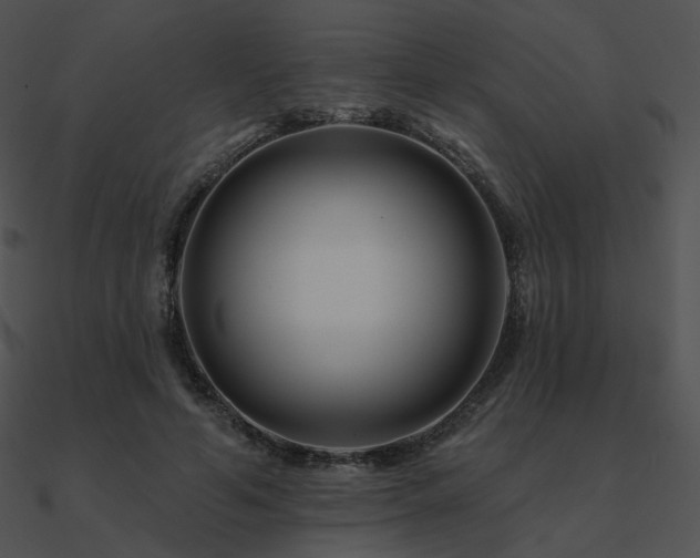 X0000090970594200708021439