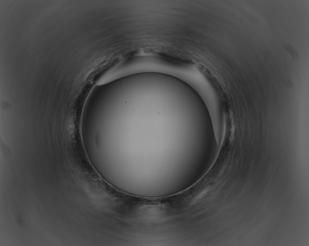 X0000090970595200708021439