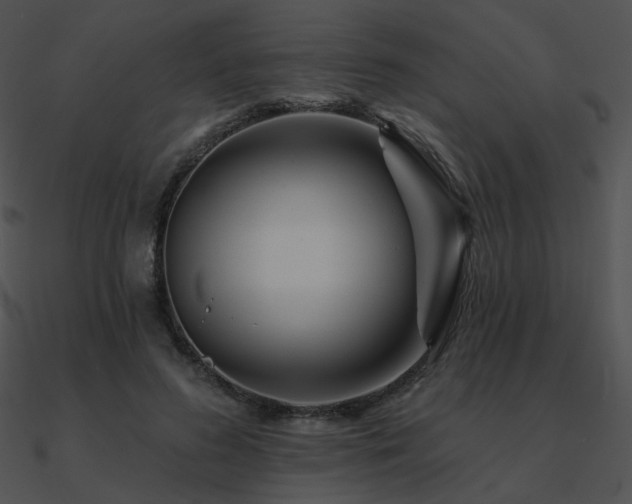 X0000090970596200708021439