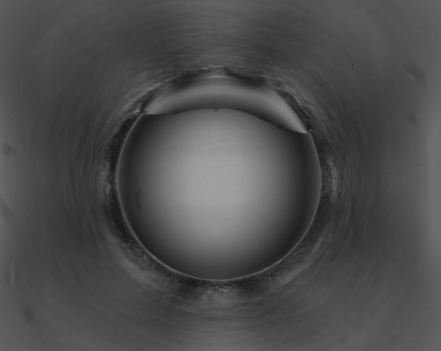 X0000090970599200708021439